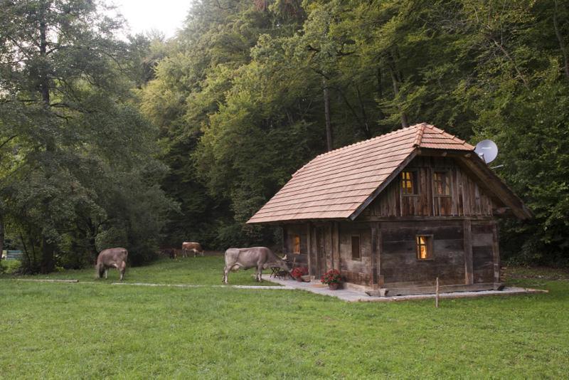 Domacija Seruga Countryside Hotel Novo Mesto Exterior foto