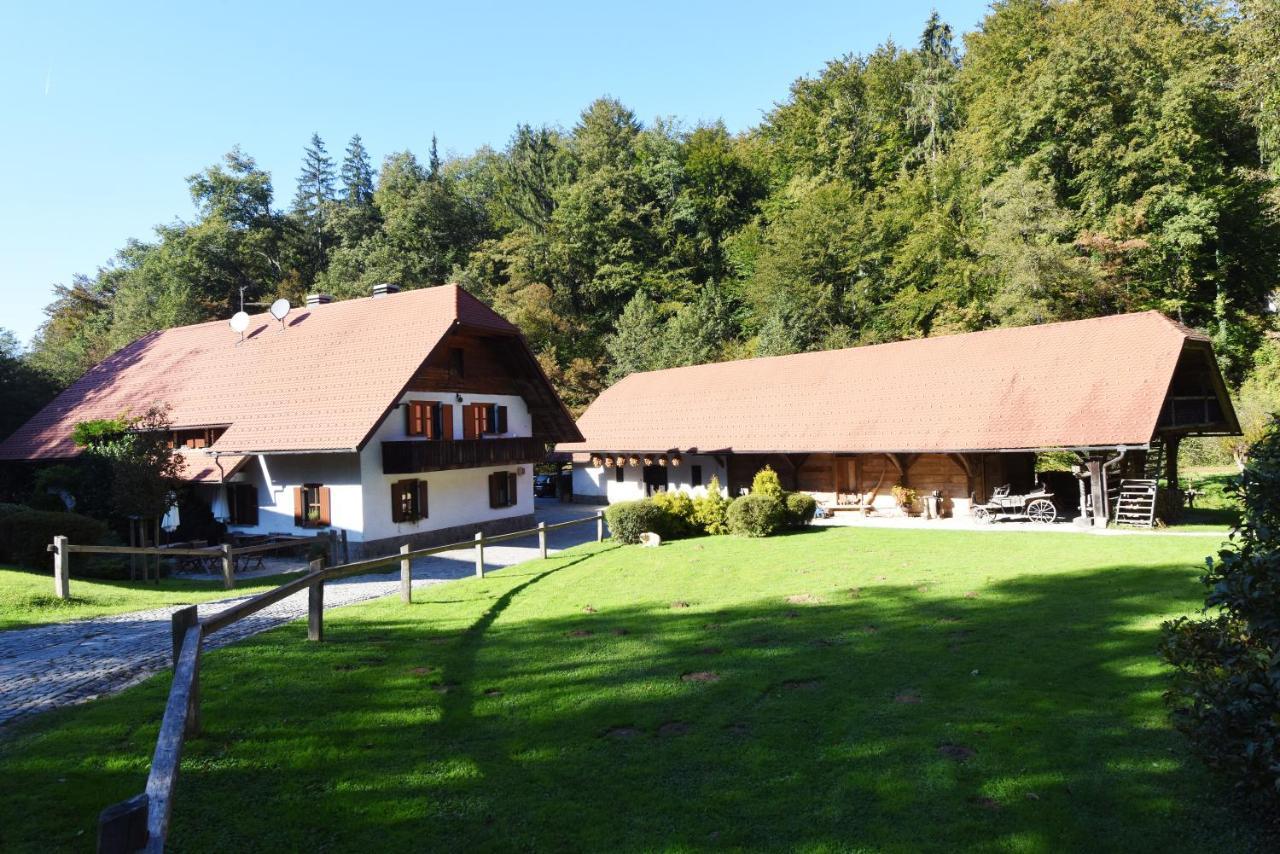 Domacija Seruga Countryside Hotel Novo Mesto Exterior foto
