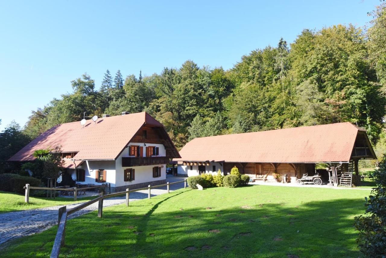 Domacija Seruga Countryside Hotel Novo Mesto Exterior foto