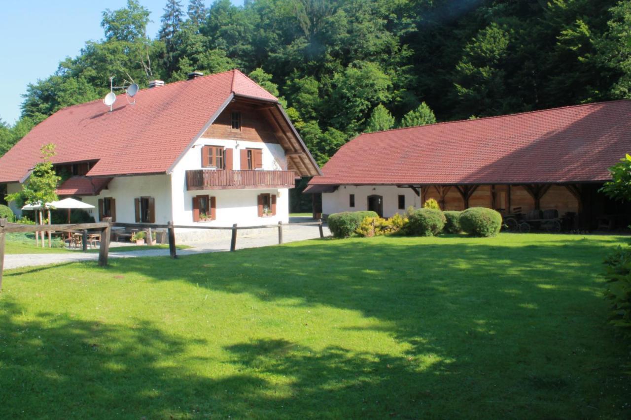 Domacija Seruga Countryside Hotel Novo Mesto Exterior foto